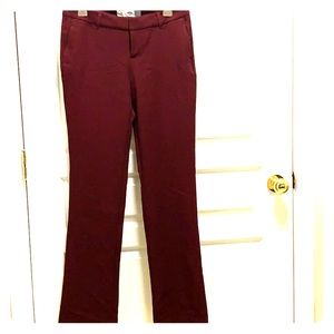 Straight Leg Trouser Pant
